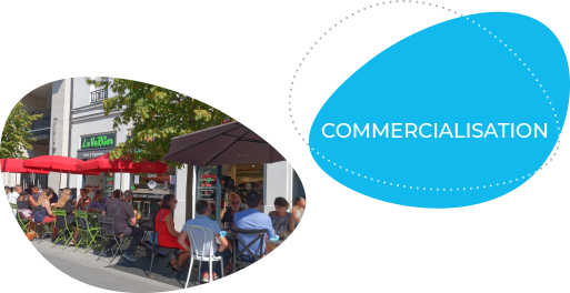 Expertise_2_ovoide_Commercialisation_tel