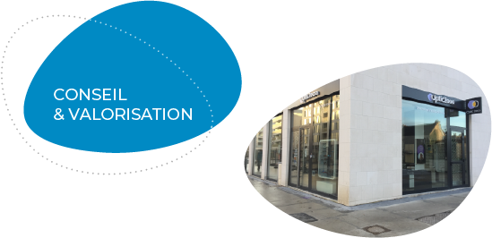 Expertise_1_ovoide_Conseil_tel