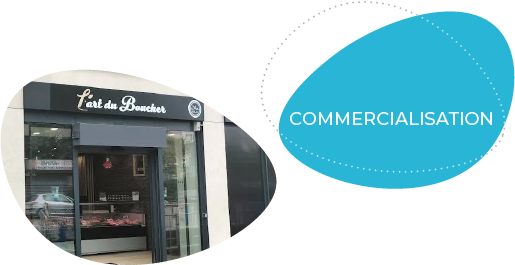Expertise_2_ovoide_Commercialisation_tel