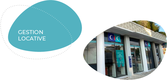 Expertise_2_ovoide_Gestion_tel